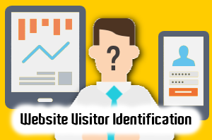 website visitor identification