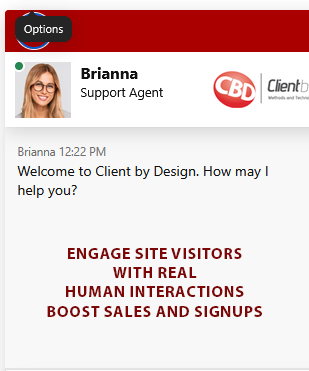 livechat interface image of live chat for websites interface